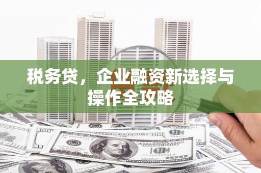 始兴税务贷，企业融资新选择与操作全攻略