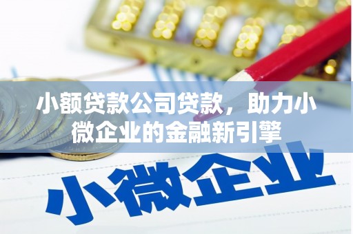 平舆小额贷款公司贷款，助力小微企业的金融新引擎