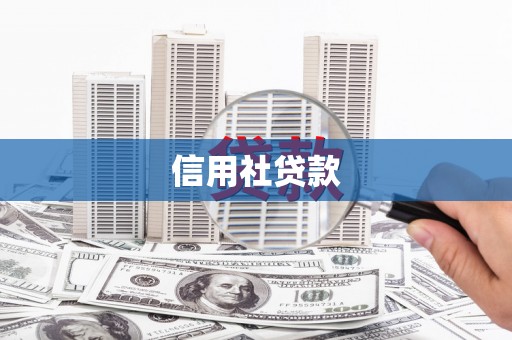 青白江信用社贷款