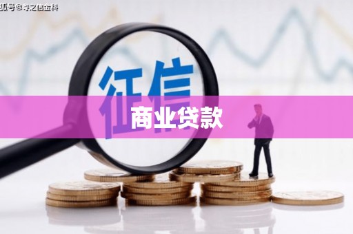 洋县商业贷款