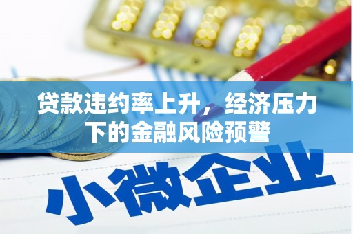徐水贷款违约率上升，经济压力下的金融风险预警