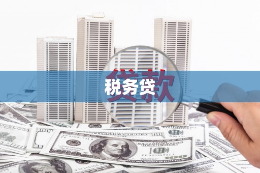 涞水税务贷
