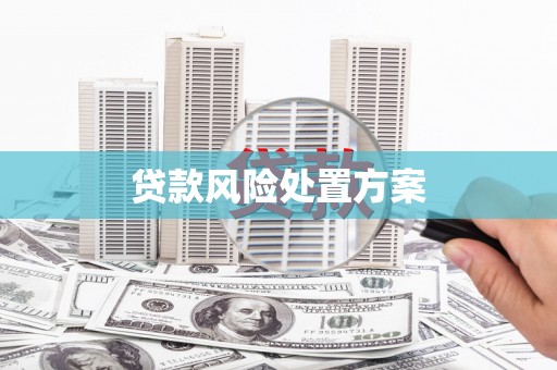 卢氏贷款风险处置方案