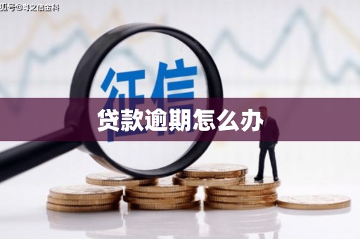 孝南贷款逾期怎么办