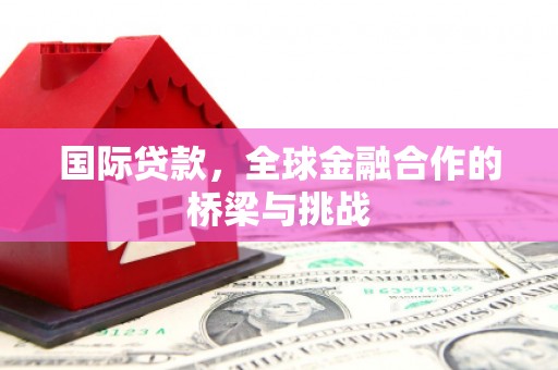 嘉黎国际贷款，全球金融合作的桥梁与挑战