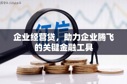 留坝企业经营贷，助力企业腾飞的关键金融工具