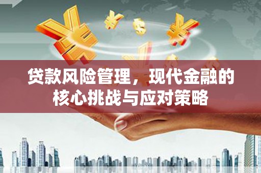 乌马河贷款风险管理，现代金融的核心挑战与应对策略