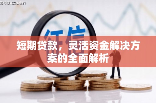 皇姑短期贷款，灵活资金解决方案的全面解析