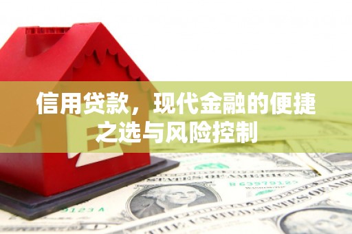 滁州信用贷款，现代金融的便捷之选与风险控制