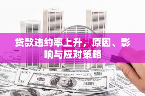惠济贷款违约率上升，原因、影响与应对策略