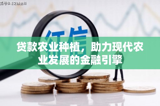 美浓贷款农业种植，助力现代农业发展的金融引擎