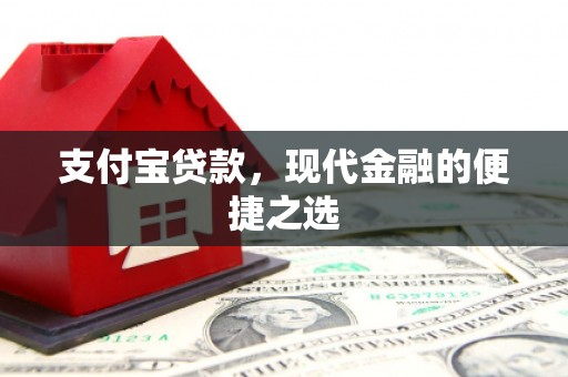 囊谦支付宝贷款，现代金融的便捷之选