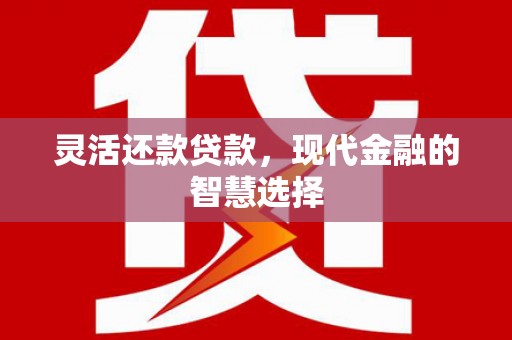 宁城灵活还款贷款，现代金融的智慧选择