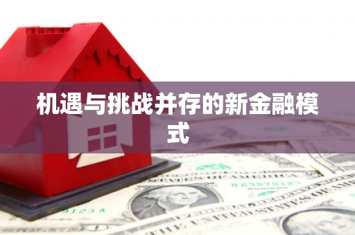 滨州机遇与挑战并存的新金融模式