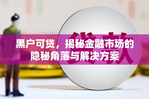 蒸湘黑户可贷，揭秘金融市场的隐秘角落与解决方案