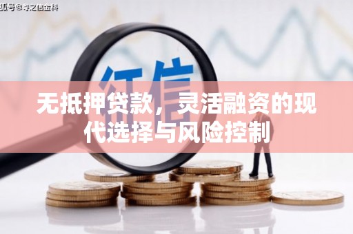 禹会无抵押贷款，灵活融资的现代选择与风险控制