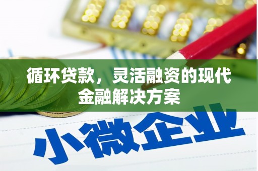 崖州循环贷款，灵活融资的现代金融解决方案