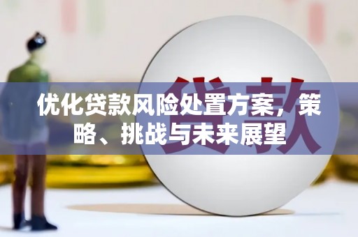 西峰优化贷款风险处置方案，策略、挑战与未来展望