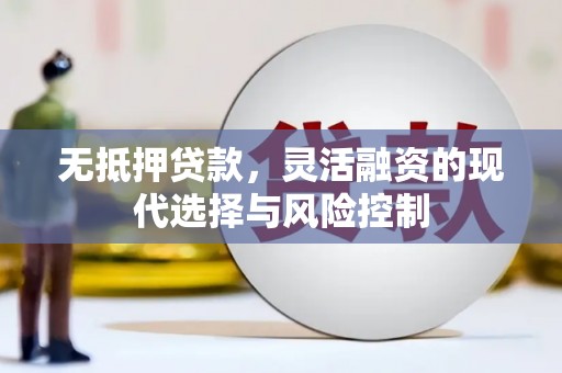 龙沙无抵押贷款，灵活融资的现代选择与风险控制
