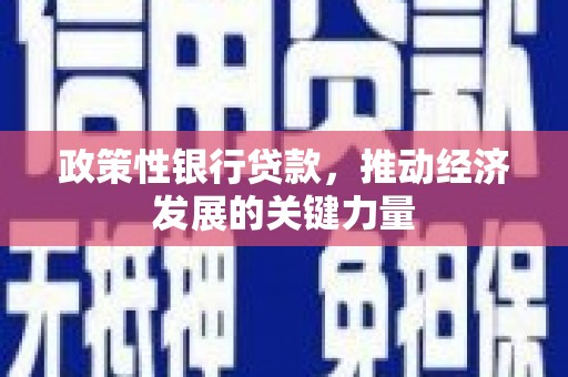 镇赉政策性银行贷款，推动经济发展的关键力量