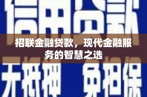 雨花招联金融贷款，现代金融服务的智慧之选