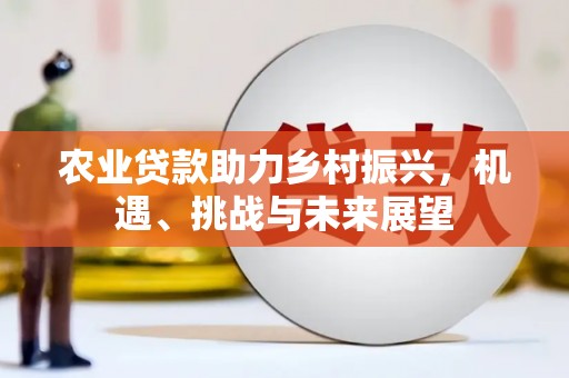 广陵农业贷款助力乡村振兴，机遇、挑战与未来展望