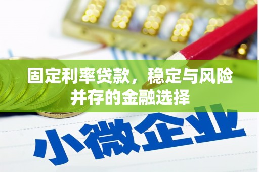 修武固定利率贷款，稳定与风险并存的金融选择
