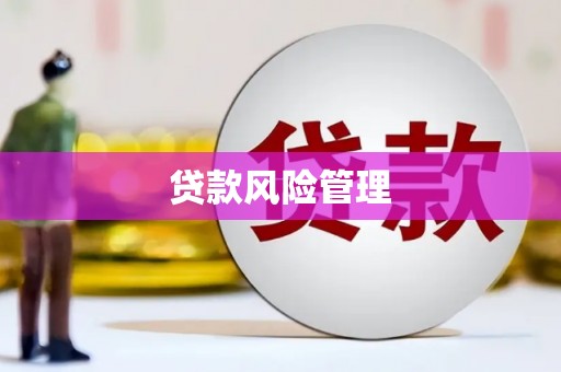 越城贷款风险管理