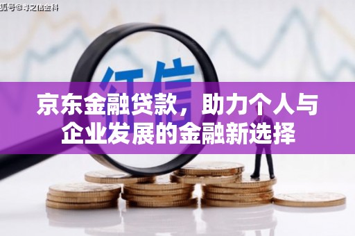 抚远京东金融贷款，助力个人与企业发展的金融新选择