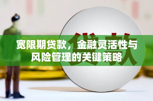 纳雍宽限期贷款，金融灵活性与风险管理的关键策略