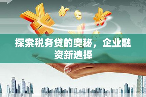 汉滨探索税务贷的奥秘，企业融资新选择