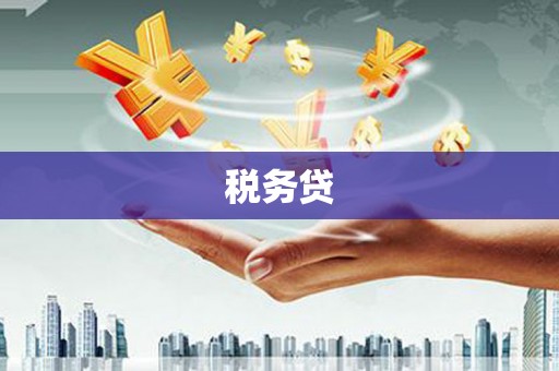大社税务贷