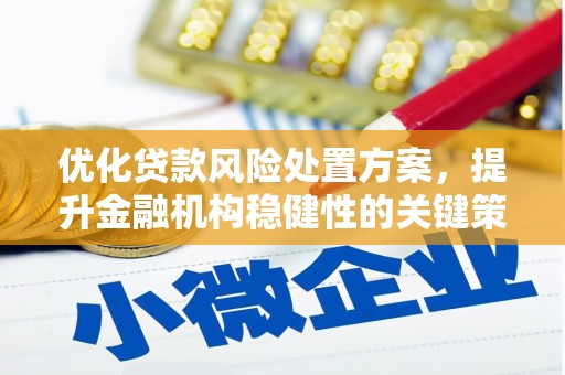 东乡族优化贷款风险处置方案，提升金融机构稳健性的关键策略