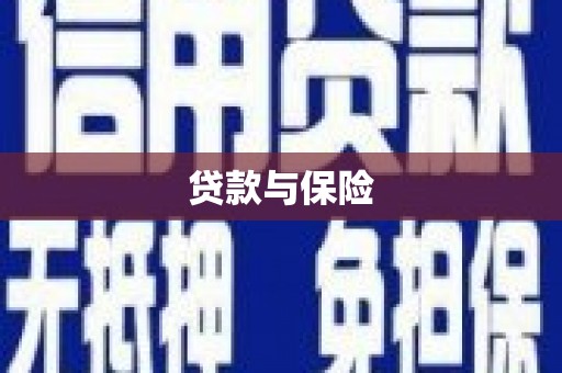 桑日贷款与保险