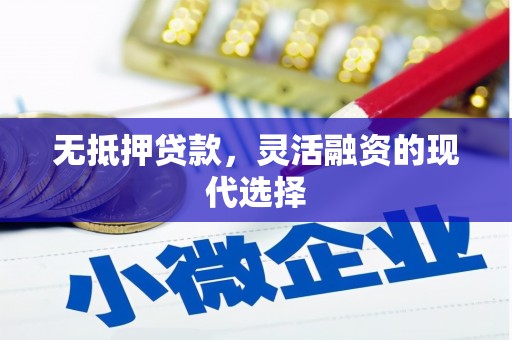鹿谷无抵押贷款，灵活融资的现代选择