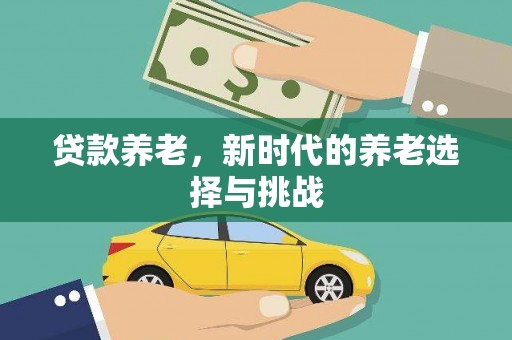 三元贷款养老，新时代的养老选择与挑战