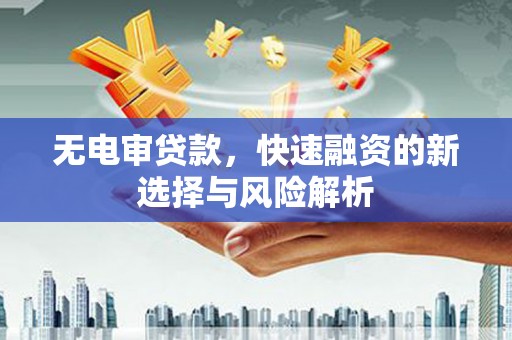 东源无电审贷款，快速融资的新选择与风险解析