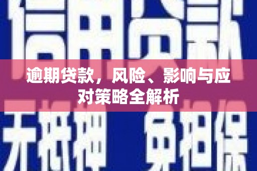 土库逾期贷款，风险、影响与应对策略全解析