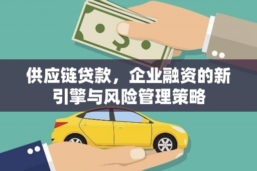 岳阳供应链贷款，企业融资的新引擎与风险管理策略