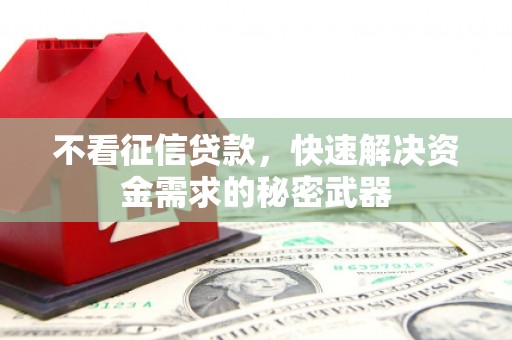 小港不看征信贷款，快速解决资金需求的秘密武器