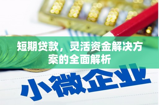 申扎短期贷款，灵活资金解决方案的全面解析