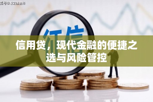 桐城信用贷，现代金融的便捷之选与风险管控