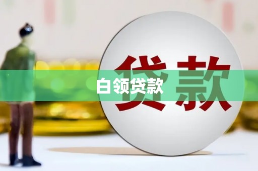中卫白领贷款
