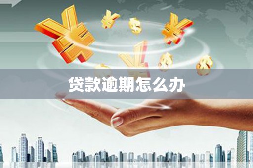 鸟松贷款逾期怎么办