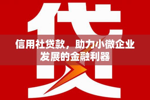于洪信用社贷款，助力小微企业发展的金融利器