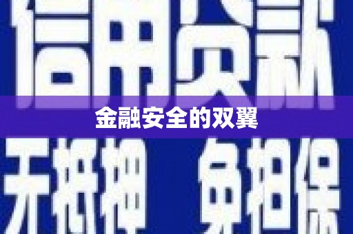 法库金融安全的双翼