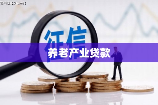 大内养老产业贷款