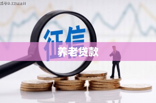 阿里养老贷款