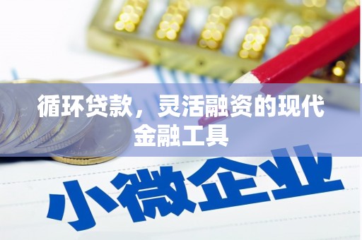 遂溪循环贷款，灵活融资的现代金融工具
