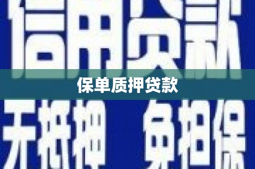 汇川保单质押贷款